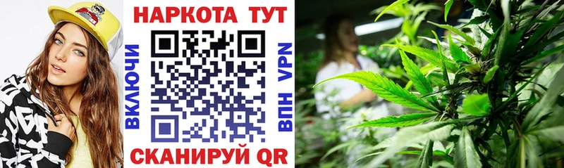 Где купить наркотики Новосиль Cocaine Бошки Шишки Экстази Альфа ПВП ГАШИШ Меф