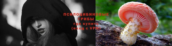 мет Алексин