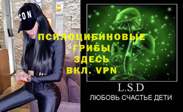 ешки Алзамай