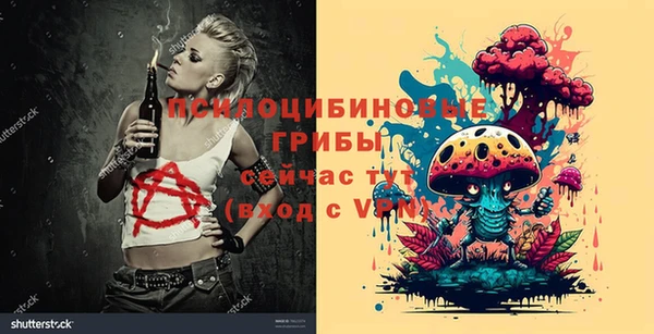 мет Алексин