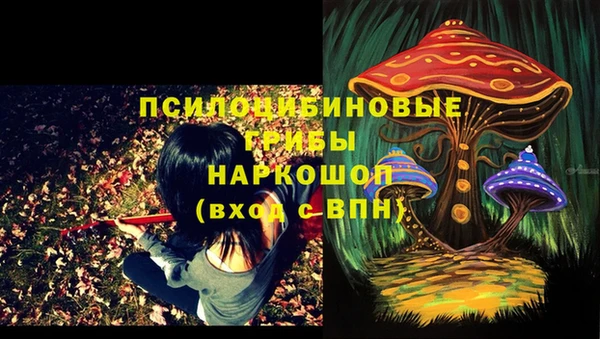 соль ск Алексеевка