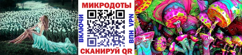 Галлюциногенные грибы ЛСД  Новосиль 
